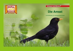 Die Amsel / Kamishibai Bildkarten