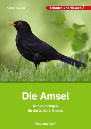 Die Amsel – Kopiervorlagen für die 2. bis 4. Klasse von Küntzel ,  Karolin