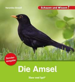 Die Amsel / Sonderausgabe von Straaß,  Veronika