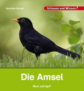 Die Amsel von Straaß,  Veronika