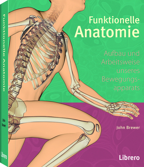 Funktionelle Anatomie von Brewer,  John