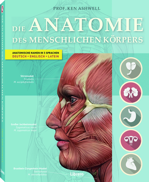 DIE ANATOMIE DES MENSCHLICHEN KÖRPERS von Ashwell,  Ken