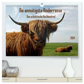 Die anmutigste Rinderrasse – Das schottische Hochlandrind (hochwertiger Premium Wandkalender 2024 DIN A2 quer), Kunstdruck in Hochglanz von Kleemann,  Claudia