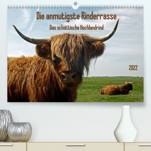 Die anmutigste Rinderrasse – Das schottische Hochlandrind (Premium, hochwertiger DIN A2 Wandkalender 2022, Kunstdruck in Hochglanz) von Kleemann,  Claudia