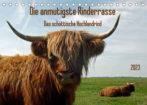 Die anmutigste Rinderrasse – Das schottische Hochlandrind (Tischkalender 2023 DIN A5 quer) von Kleemann,  Claudia