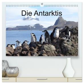 Die Antarktis / CH-Version (hochwertiger Premium Wandkalender 2024 DIN A2 quer), Kunstdruck in Hochglanz von Brack,  Roland