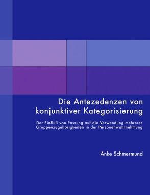 Die Antezedenzen von konjunktiver Kategorisierung von Schmermund,  Anke