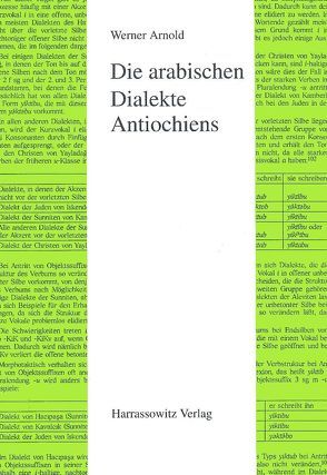 Die arabischen Dialekte Antiochiens von Arnold,  Werner