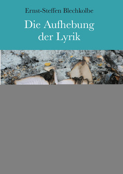 Die Aufhebung der Lyrik von Blechkolbe,  Ernst-Steffen