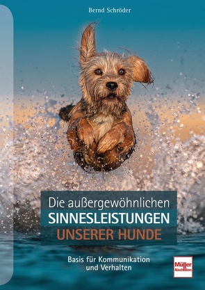 Die außergewöhnlichen Sinnesleistungen unserer Hunde von Schroeder,  Bernd