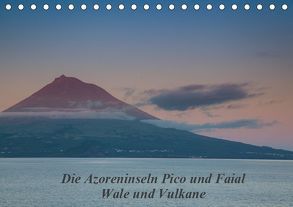 Die Azoreninseln Pico und Faial (Tischkalender 2019 DIN A5 quer) von H. Gulbins,  Dr.