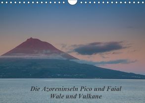 Die Azoreninseln Pico und Faial (Wandkalender 2019 DIN A4 quer) von H. Gulbins,  Dr.