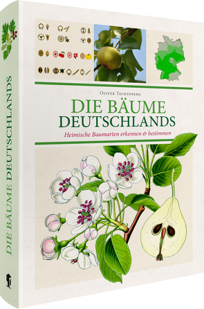 Die Bäume Deutschlands von Tackenberg,  Dr. Oliver