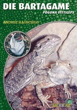 Die Bartagame von Hauschild,  Andree