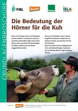 Die Bedeutung der Hörner für die Kuh von Hurni,  Béatrice, Spengler Neff,  Anet, Streiff,  Ricco