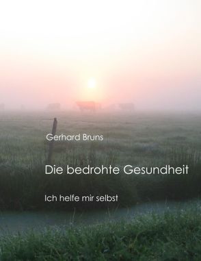 Die bedrohte Gesundheit von Bruns,  Gerhard