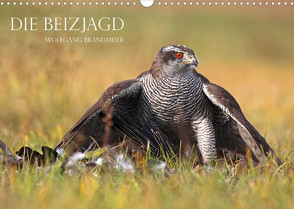 Die Beizjagd (Wandkalender 2023 DIN A3 quer) von Brandmeier,  Wolfgang