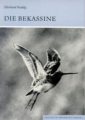 Die Bekassine von Reddig,  Eberhard