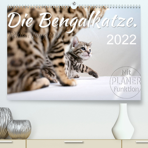 Die Bengalkatze. Edition Jungtiere (Premium, hochwertiger DIN A2 Wandkalender 2022, Kunstdruck in Hochglanz) von Banker,  Sylvio