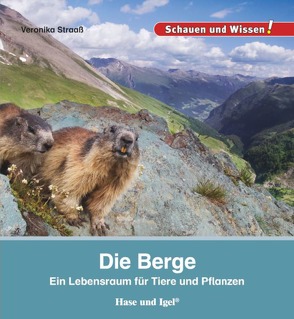 Die Berge von Straaß,  Veronika