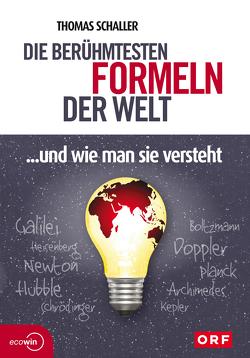 Die berühmtesten Formeln der Welt… und wie man sie versteht von Schaller,  Thomas