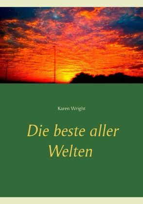 Die beste aller Welten von Wright,  Karen