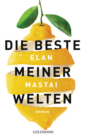 Die beste meiner Welten von Mastai,  Elan, Schmidt,  Rainer