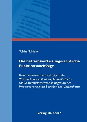 Die betriebsverfassungsrechtliche Funktionsnachfolge von Schiebe,  Tobias