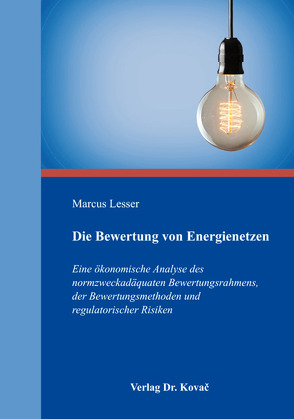 Die Bewertung von Energienetzen von Lesser,  Marcus