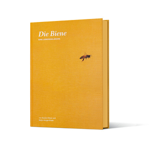 Die Biene – Eine Liebeserklärung von Eitner,  Kerstin, Morgenthaler,  Katja