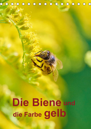 Die Biene und die Farbe gelb (Tischkalender 2023 DIN A5 hoch) von Bangert,  Mark