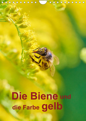 Die Biene und die Farbe gelb (Wandkalender 2023 DIN A4 hoch) von Bangert,  Mark