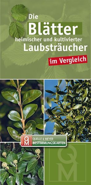 Die Blätter heimischer und kultivierter Laubsträucher im Vergleich von Quelle & Meyer Verlag