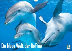 Die blaue Welt der Delfine (Wandkalender 2023 DIN A3 quer) von CALVENDO