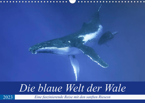 Die blaue Welt der Wale (Wandkalender 2023 DIN A3 quer) von Travelpixx.com