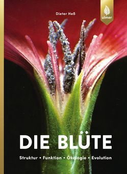 Die Blüte von Hess,  Dieter