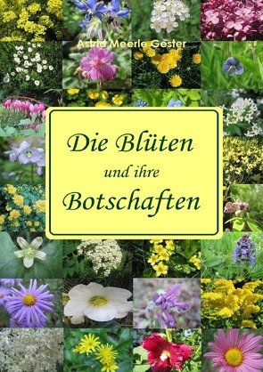 Die Blüten und ihre Botschaften von Gester,  Astrid