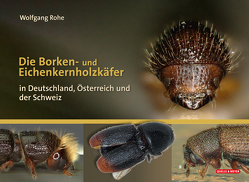 Die Borken- und Eichenkernholzkäfer von Rohe,  Wolfgang