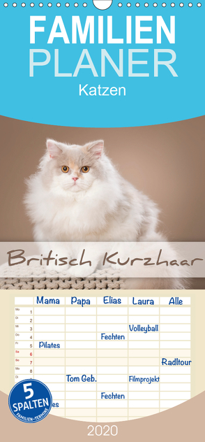 Die Britisch Kurzhaar Katze – Familienplaner hoch (Wandkalender 2020 , 21 cm x 45 cm, hoch) von Bildarchiv,  Trio