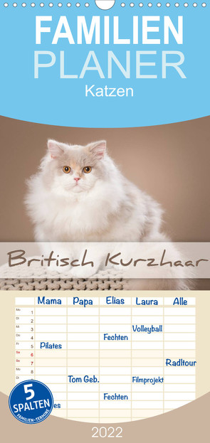 Die Britisch Kurzhaar Katze – Familienplaner hoch (Wandkalender 2022 , 21 cm x 45 cm, hoch) von Bildarchiv,  Trio