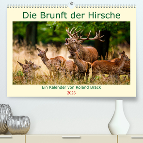 Die Brunft der Hirsche (Premium, hochwertiger DIN A2 Wandkalender 2023, Kunstdruck in Hochglanz) von Brack,  Roland