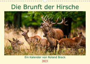 Die Brunft der Hirsche (Wandkalender 2023 DIN A3 quer) von Brack,  Roland