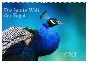 Die bunte Welt der Vögel (Wandkalender 2024 DIN A2 quer), CALVENDO Monatskalender von Fornal,  Martina