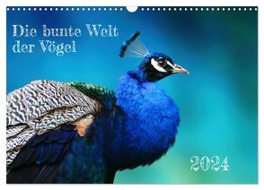 Die bunte Welt der Vögel (Wandkalender 2024 DIN A3 quer), CALVENDO Monatskalender von Fornal,  Martina