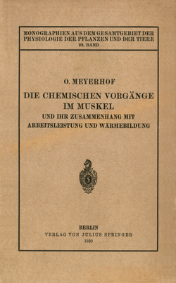 Die chemischen Vorgänge im Muskel und ihr Zusammenhang mit Arbeitsleistung und Wärmebildung von Gildmeister,  M., Goldschmidt,  R., Meyerhof,  Otto, Neuberg,  C., Parnas,  J., Ruhland,  W.