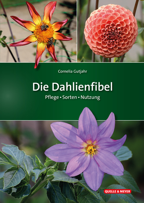 Die Dahlienfibel von Gutjahr,  Cornelia