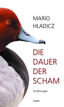 Die Dauer der Scham von Hladicz,  Mario