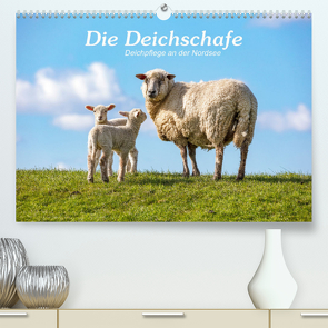 Die Deichschafe. Deichpflege an der Nordsee (Premium, hochwertiger DIN A2 Wandkalender 2023, Kunstdruck in Hochglanz) von Dreegmeyer,  Andrea