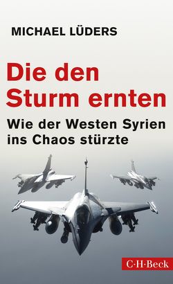 Die den Sturm ernten von Lüders,  Michael