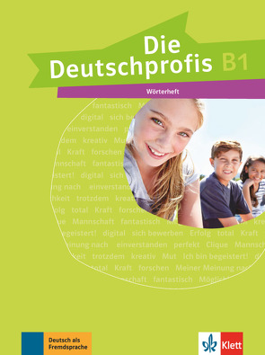 Die Deutschprofis B1